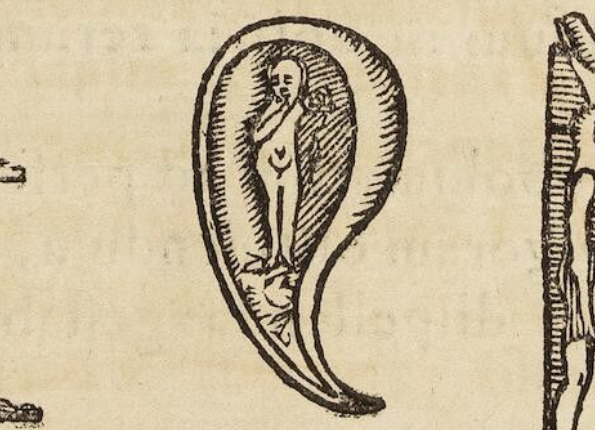 openseadragon-render