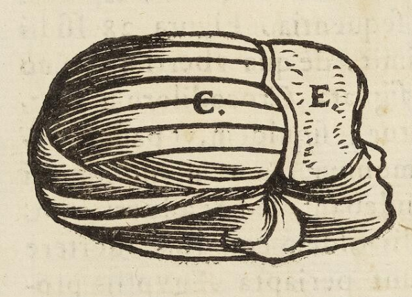 openseadragon-render