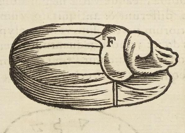 openseadragon-render