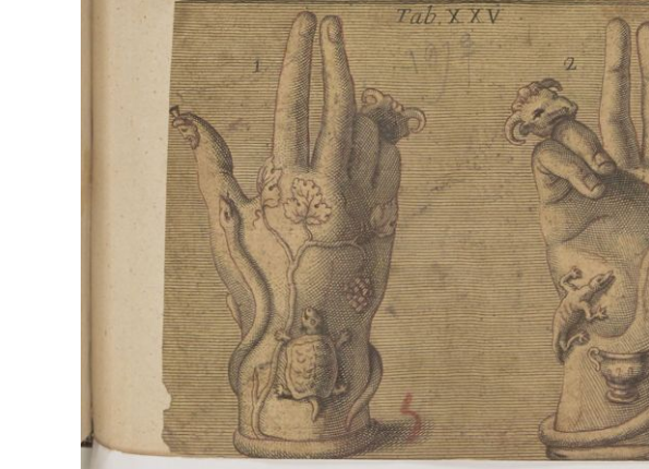 openseadragon-render