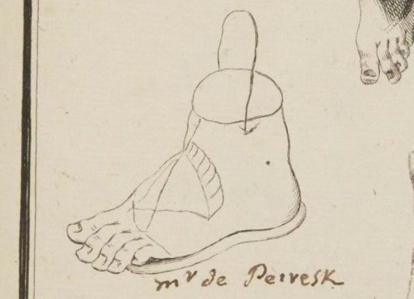 openseadragon-render