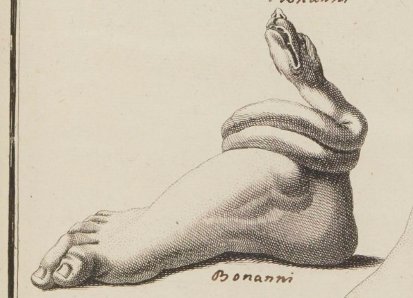 openseadragon-render