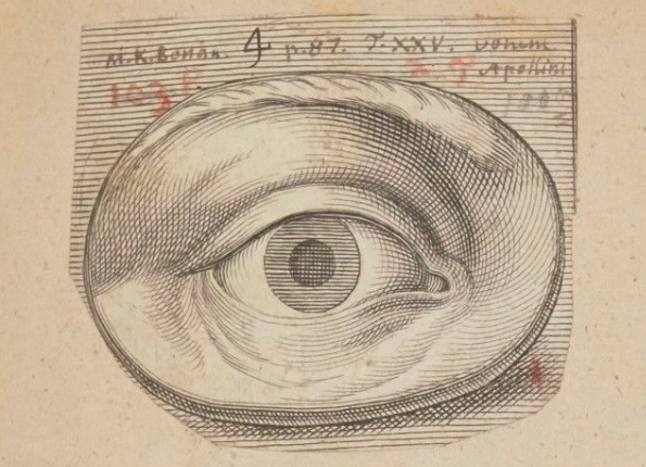 openseadragon-render