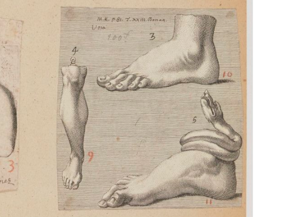 openseadragon-render