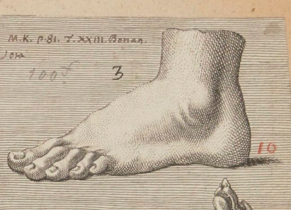 openseadragon-render