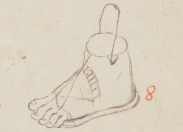 openseadragon-render