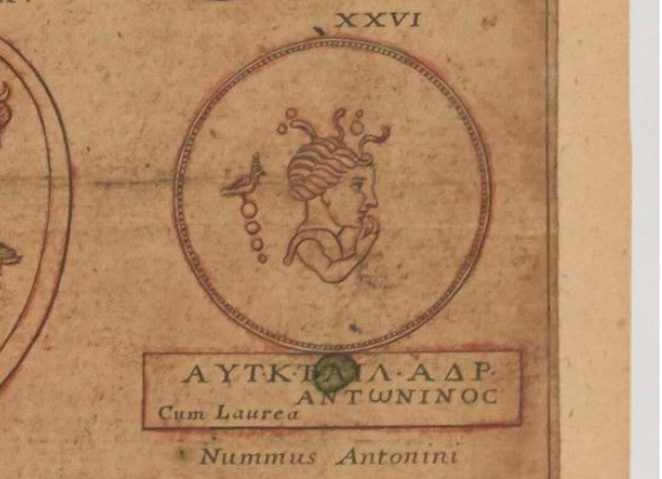 openseadragon-render