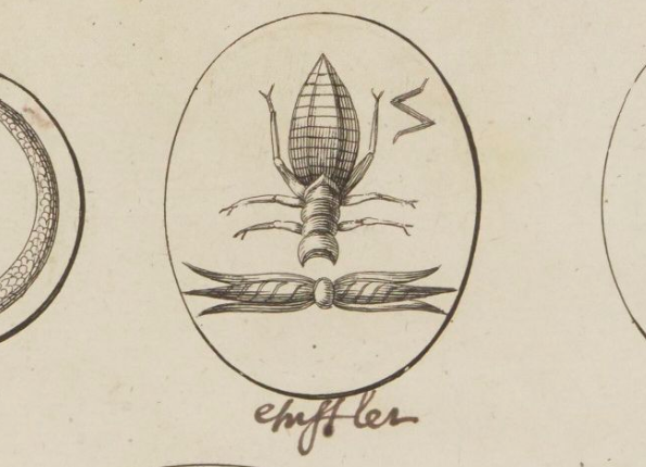 openseadragon-render