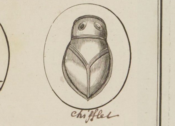 openseadragon-render