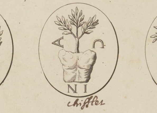 openseadragon-render