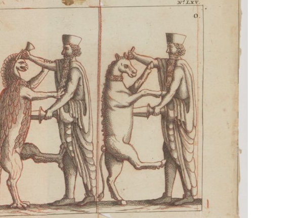 openseadragon-render