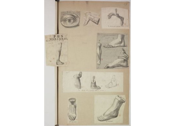 openseadragon-render