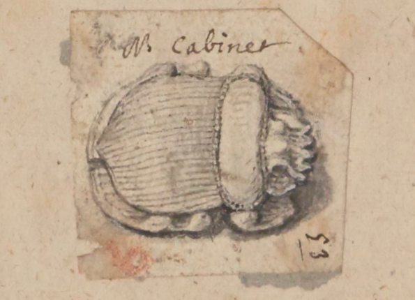 openseadragon-render