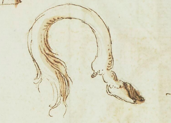 openseadragon-render