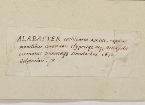 openseadragon-render