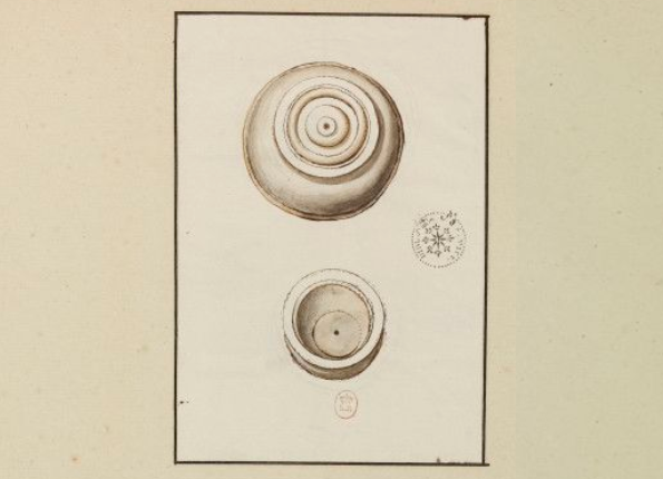 openseadragon-render