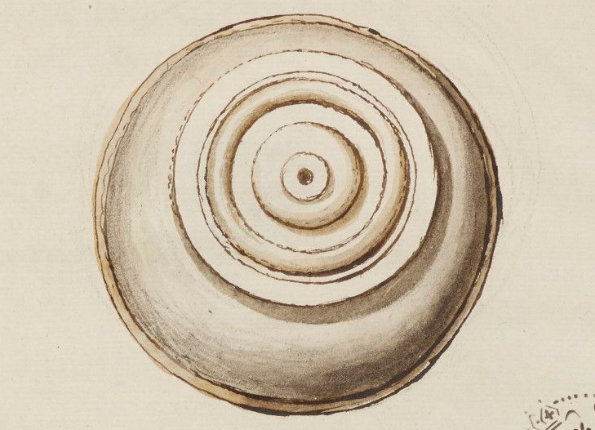 openseadragon-render