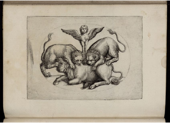 openseadragon-render