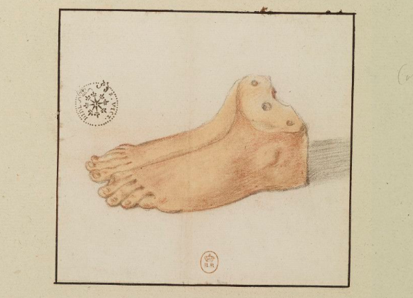 openseadragon-render