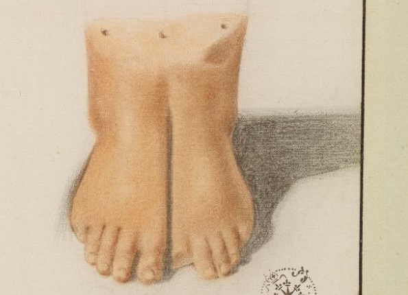 openseadragon-render