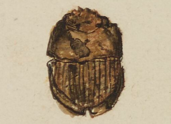 openseadragon-render