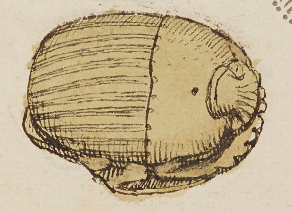 openseadragon-render