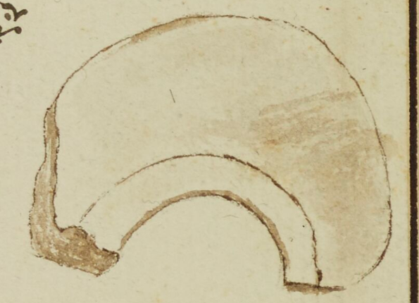 openseadragon-render