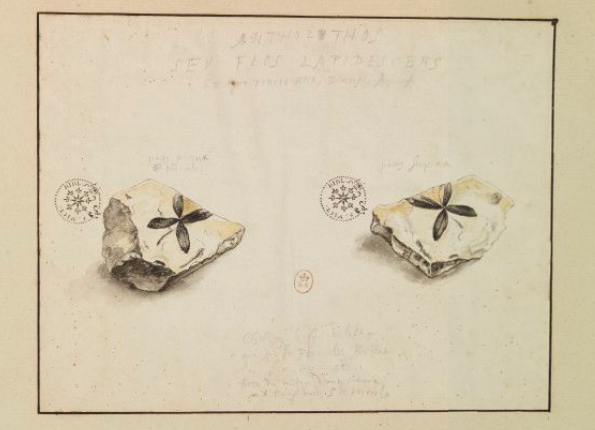 openseadragon-render