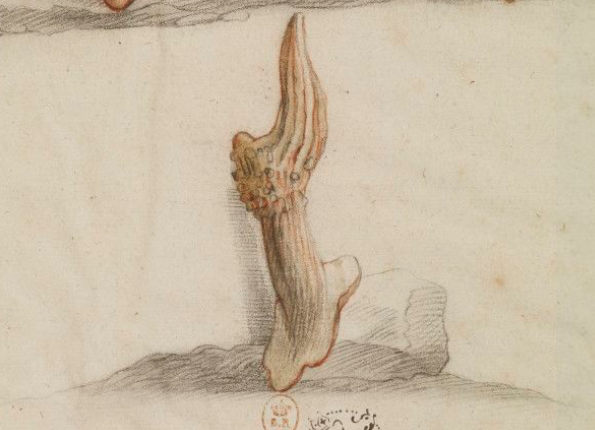 openseadragon-render