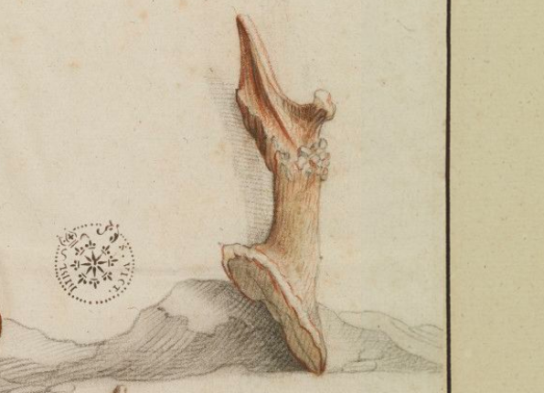 openseadragon-render