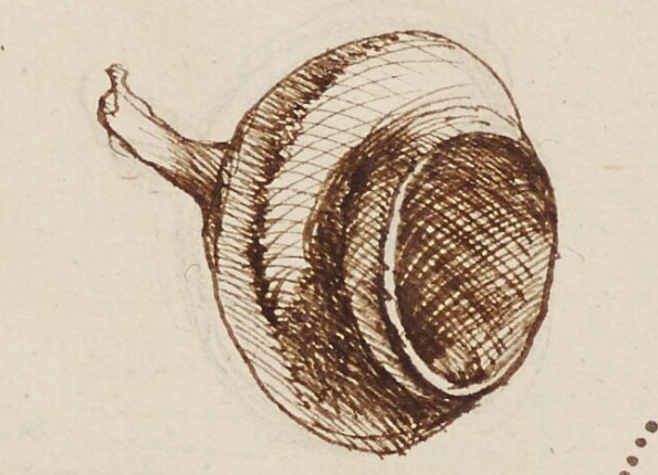 openseadragon-render