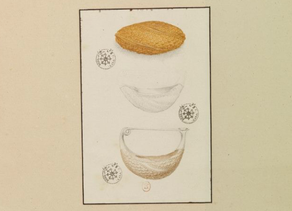 openseadragon-render