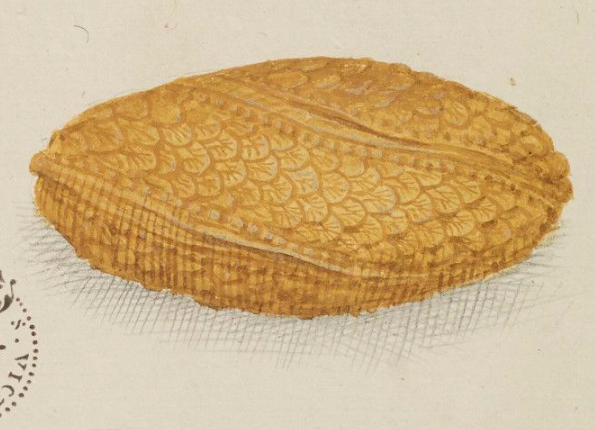 openseadragon-render