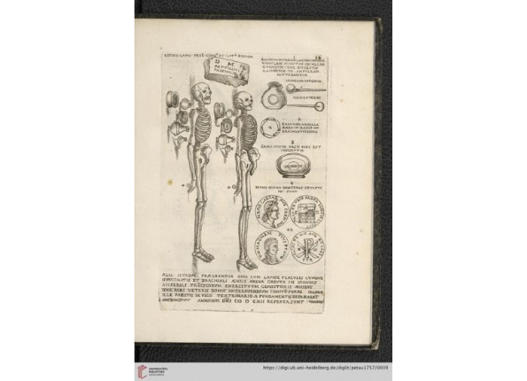 openseadragon-render