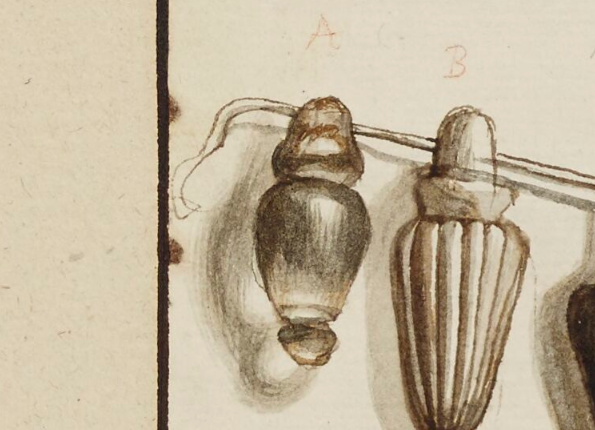 openseadragon-render