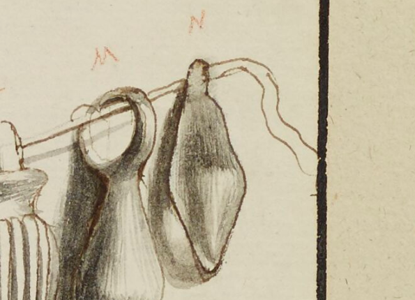 openseadragon-render