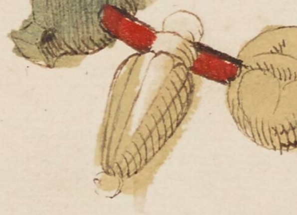 openseadragon-render