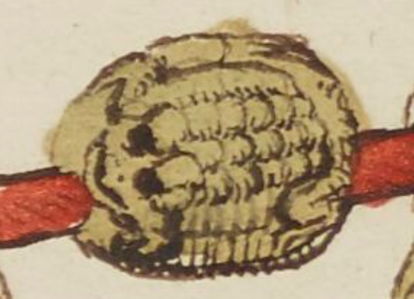 openseadragon-render