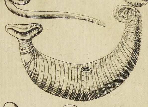 openseadragon-render