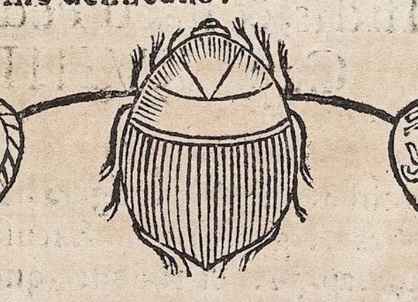 openseadragon-render