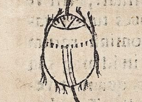 openseadragon-render