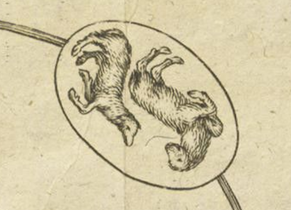 openseadragon-render