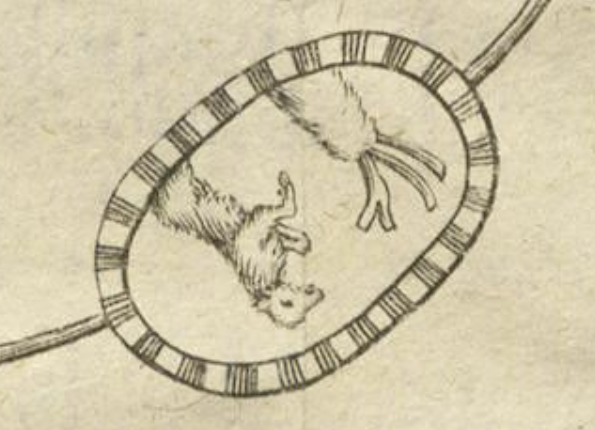 openseadragon-render