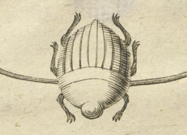 openseadragon-render