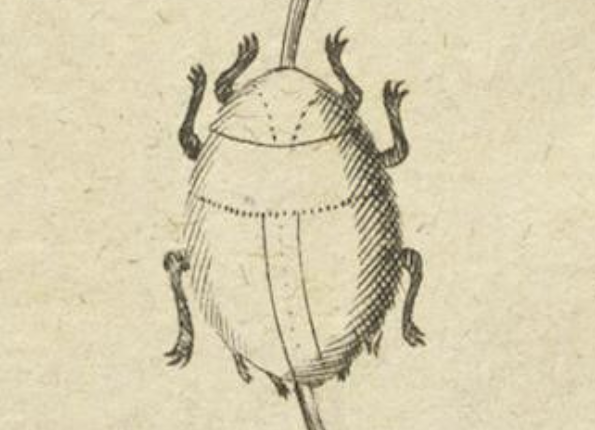 openseadragon-render