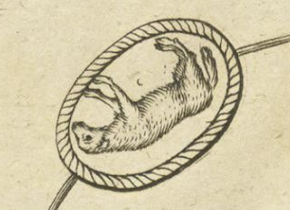 openseadragon-render