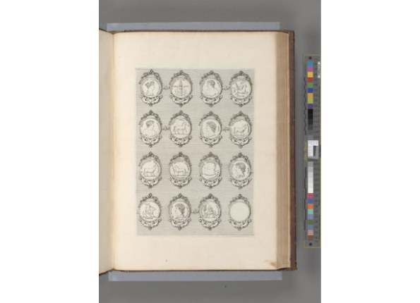 openseadragon-render