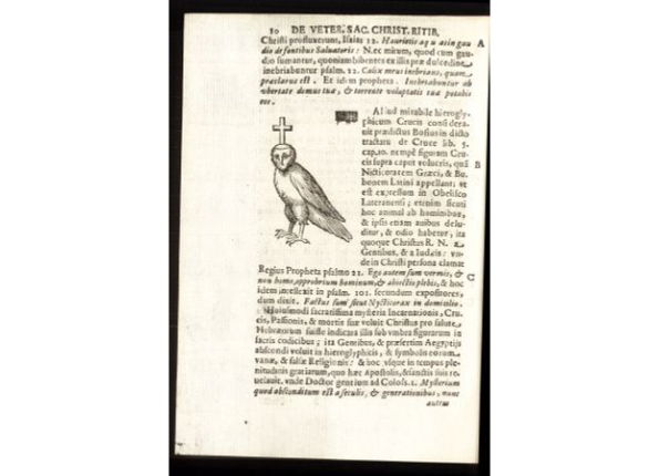 openseadragon-render