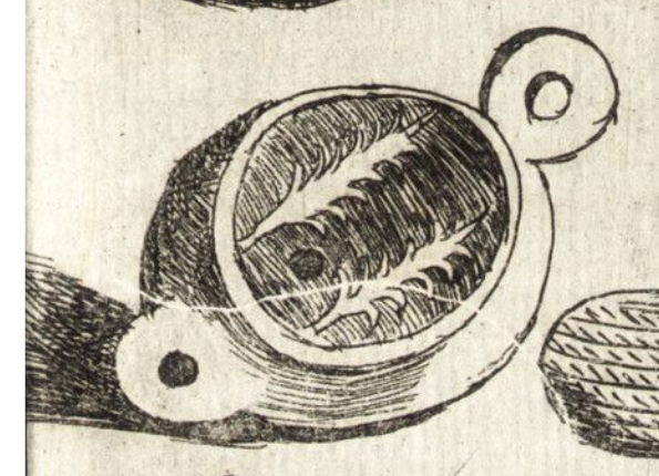 openseadragon-render