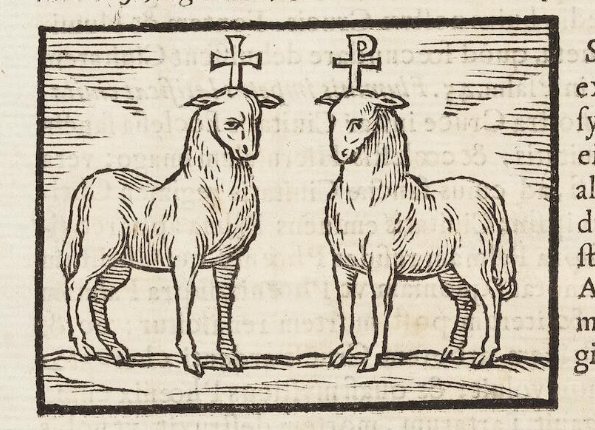 openseadragon-render